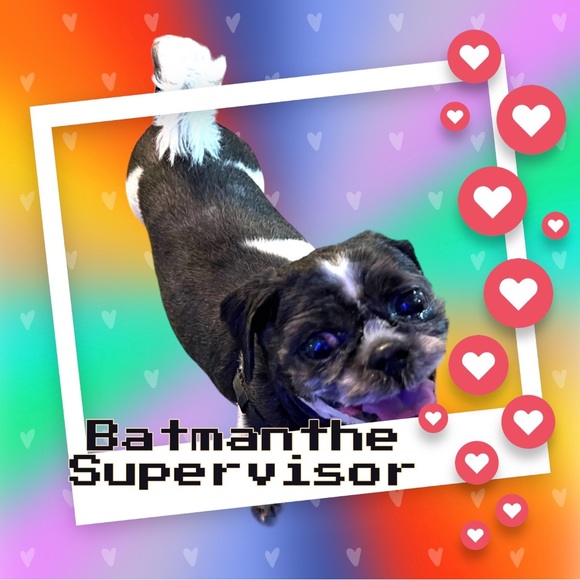 Coffee And Dreams Thrifting - Picture 4 of 13